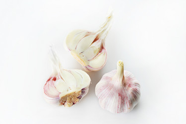 Similar image 21747339