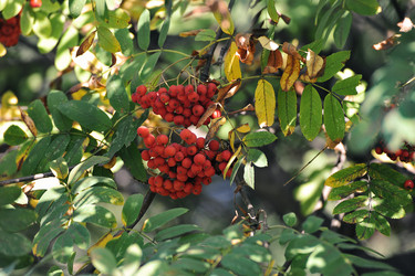 Similar image 21747342