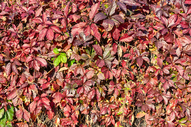 Similar image 21722699