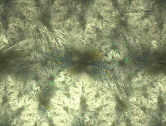 Similar image 21759267