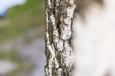 Similar image 21723435