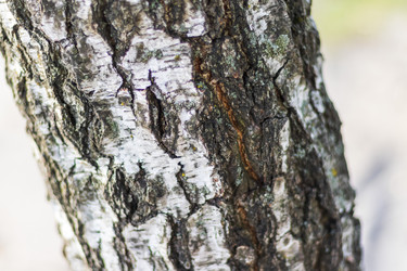 Similar image 21723437