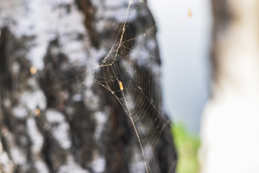 Similar image 21723605