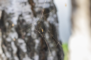 Similar image 21723607