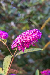 Similar image 21723611