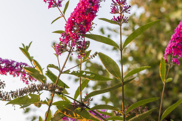 Similar image 21723615