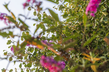 Similar image 21723616