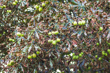 Similar image 21723618