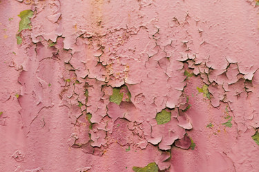 Similar image 21723628