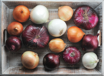 Similar image 21747535