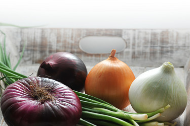 Similar image 21747544