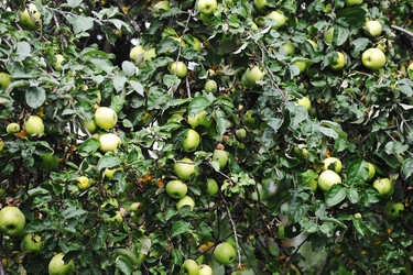 Similar image 21747613