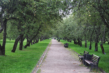 Similar image 21747622