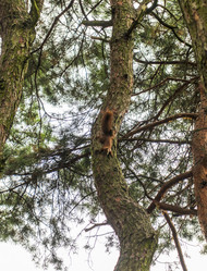 Similar image 21722912