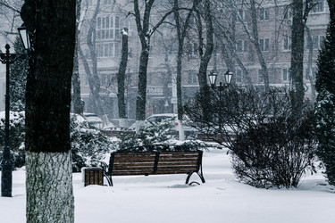 Similar image 21743799