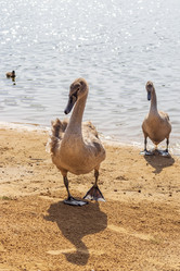 Similar image 21723076