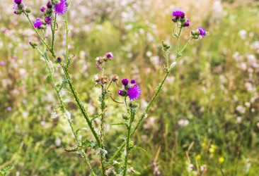 Similar image 21723078