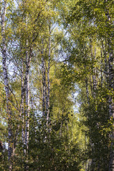 Similar image 21723081