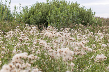 Similar image 21723082