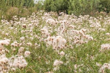 Similar image 21723086