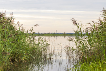 Similar image 21723088