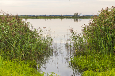 Similar image 21723090