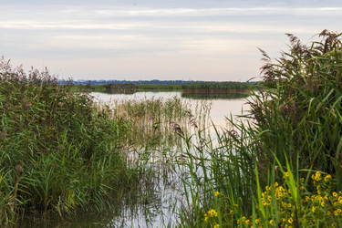 Similar image 21723096