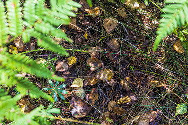 Similar image 21723097