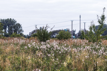 Similar image 21723098