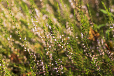 Similar image 21723099