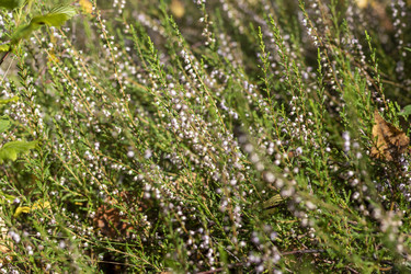 Similar image 21723442