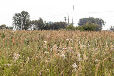 Similar image 21723443