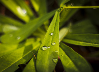 Similar image 21723444