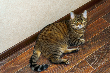 Similar image 21747126