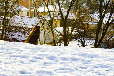 Similar image 21750643