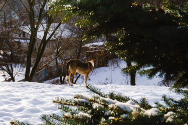 Similar image 21750645