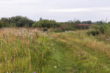 Similar image 21723632