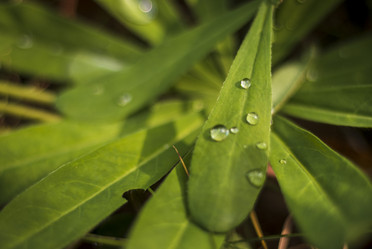 Similar image 21723633