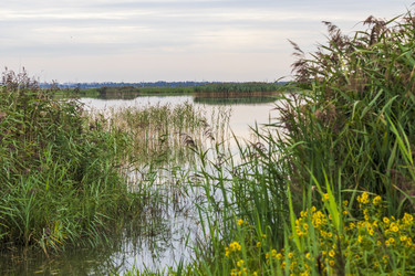 Similar image 21723634