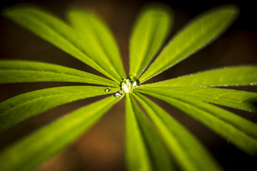 Similar image 21723639