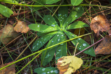 Similar image 21723641