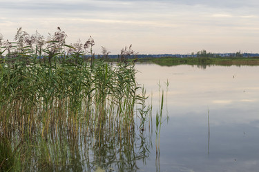 Similar image 21723642