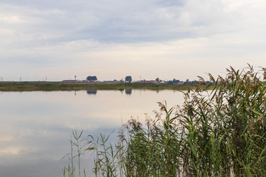 Similar image 21723644