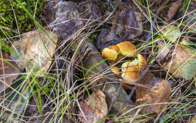 Similar image 21723645