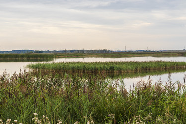 Similar image 21723646