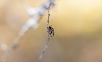 Similar image 21723647