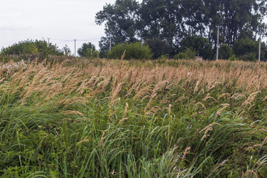 Similar image 21746916