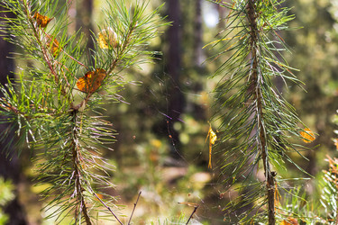 Similar image 21746922