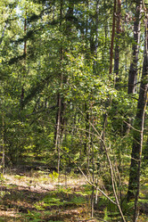 Similar image 21746926