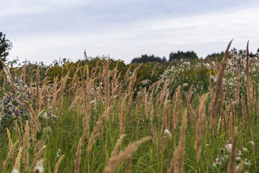 Similar image 21746927